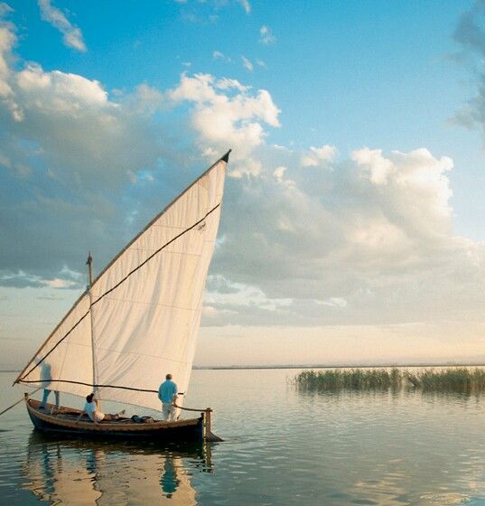 A traditional lateen-sail boat gliding over the calm water of the Albufera